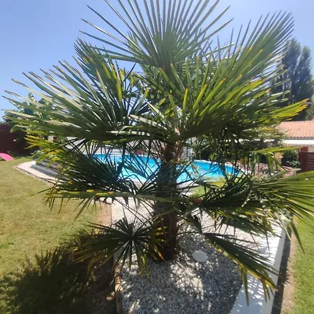 Lägenhet Meuble Cocooning Piscine Et !
